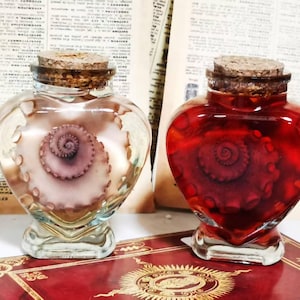 Preserved Octopus Tentacle in Heart Bottle – Red or Natural, Ethically Sourced