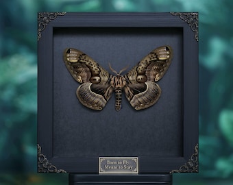 Large Real Owl Moth Frame, Female Brahmaea wallichii Display, Framed Insect Taxidermy, Natural History Wall Art, Unique Collector Gift