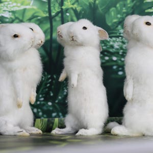 Pode incluir: Três coelhos brancos em pé, com as patas dianteiras levantadas. Os coelhos têm pelo fofo e orelhas rosadas. Estão posicionados em frente a um fundo verde e branco, criando uma cena natural e caprichosa. Os coelhos parecem estar olhando para cima.