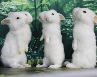 Two-headed Rabbit Taxidermy – Rare Double-headed Oddity, Gothic