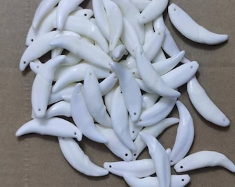 30 Pcs 1 inch-1.77 inch Coyote Teeth. Unilateral Perforation.