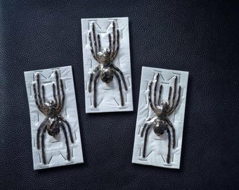 Vogelspinne Specimen | Echte erhaltene Spinnentier | Unmontiertes naturkundliches Vitrinenstück | Sammler Insekt Kuriositäten