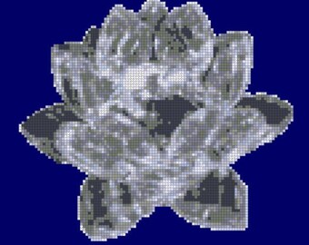 Sailor Moon's Silver Crystal