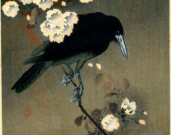 Crow and blossom by Ohara Koson Home Decor Wall Decor Giclee Art Print Poster A4 A3 A2 Large Print FLAT RATE SHIPPING