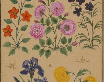 Mughal Flowers from the The Dara Shikoh Album 1631