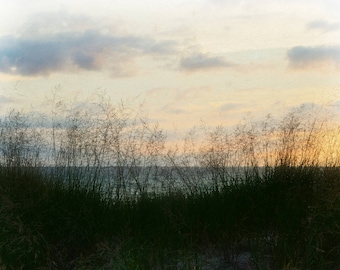 End Of Day by Michelle Calkins Wall Decor Giclee Art Print Poster A4 A3 A2 Large Print BOGOFREE (see product page)