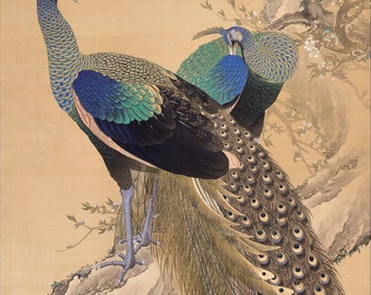 A Pair of Peacocks in Spring by Imao Keinen Home Decor Wall Decor Giclee Art Print Poster A4 A3 A2 Large Print FLAT RATE SHIPPING