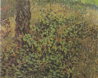 Undergrowth and Two Trees by Vincent Van Gogh Home Decor Wall Decor Giclee Art Print Poster A4 A3 A2 Large Print BOGOFREE (see product page)