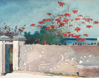 A Wall, Nassau by Winslow Homer Home Decor Wall Decor Giclee Art Print Poster A4 A3 A2 Large Print FLAT RATE SHIPPING