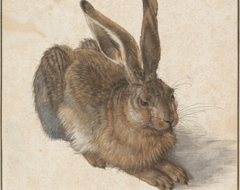 Hare by Albrecht Dürer Home Decor Wall Decor Giclee Art Print Poster A4 A3 A2 Large Print FLAT RATE SHIPPING