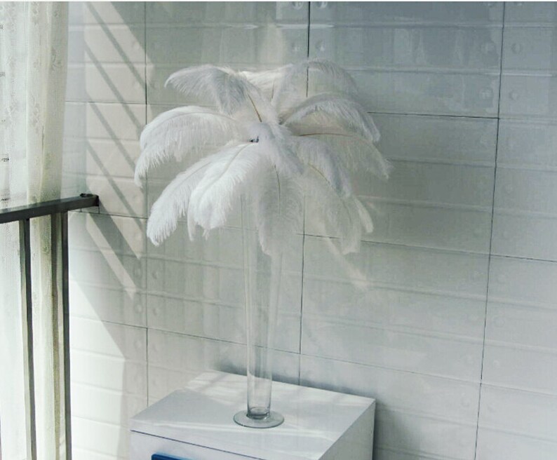 Hot Sale Discount 100 White Ostrich Feather For Wedding Etsy