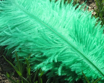 20pcs kelly green aqua green ostrich feather for wedding table centerpiece,feather centerpiece,wedding table decoration