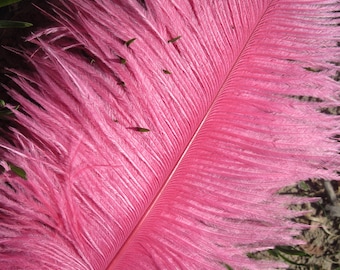 20pcs baby pink ostrich feathers for wedding table centerpiece,feather centerpiece,wedding table decoration