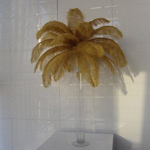 May include: A tall clear glass vase filled with a large golden ostrich feather plume.