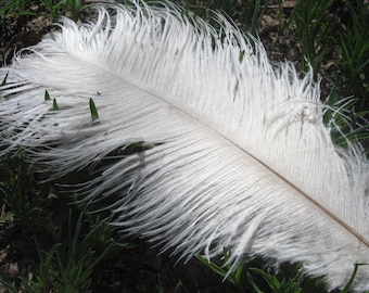 20pcs White ostrich feather for wedding table centerpiece,feather centerpiece