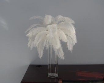 May include: A white ostrich feather arrangement in a clear glass vase on a dark wood surface.