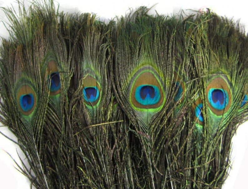 25pieces 1012inch Peacock Feather Natural Green Beautiful Etsy