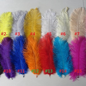 Wholesale 100pcs colored ostrich feather for wedding decorations or  craft feathers