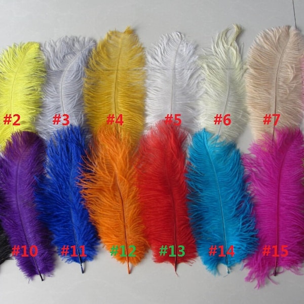 Wholesale 100pcs colored ostrich feather for wedding decorations or  craft feathers