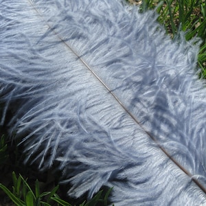 20pcs silver ostrich feathers for wedding table centerpiece,feather centerpiece,wedding table decoration
