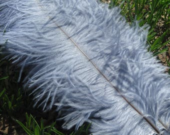 20pcs silver ostrich feathers for wedding table centerpiece,feather centerpiece,wedding table decoration