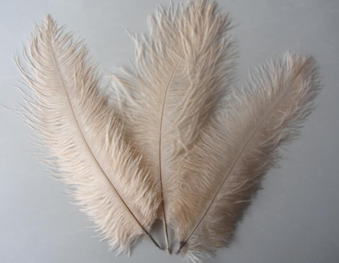 1M 8-10Cm Veren Struisvogel Pluim Trim Bruiloft Ambachten