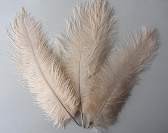 100pcs Champagner/Taupe Strauß Feder Federn, Hochzeit Herzstück, Hochzeit Tischdekoration, Tisch Eiffel Turm Herzstück
