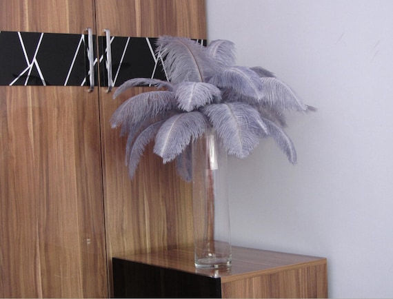 silver ostrich feathers