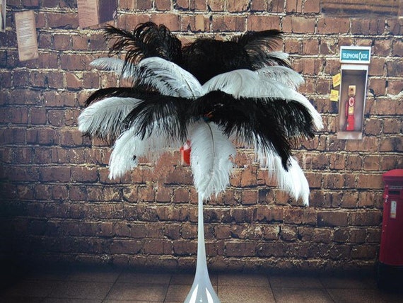 Black Ostrich Feather Plume