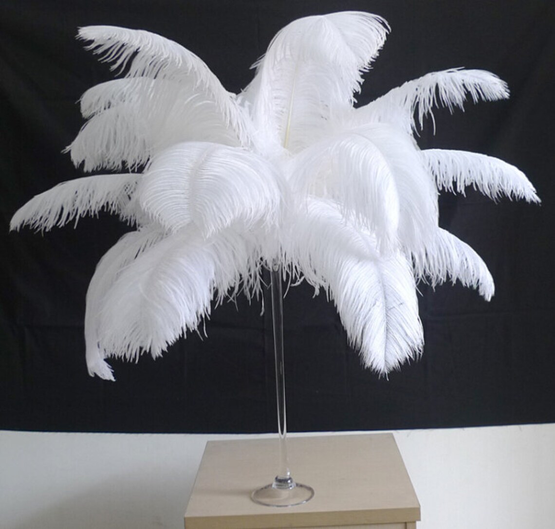 100 White Ostrich Feather for Wedding centerpieces Etsy