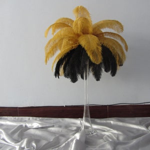 May include: A tall clear glass vase filled with black and gold ostrich feathers. The feathers are arranged in a plume shape.