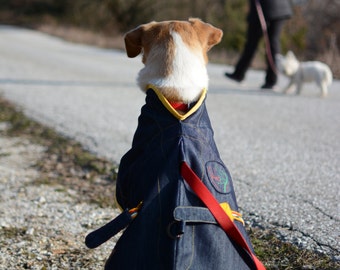 Dog raincoat, handmade,eco-textiles, repelant to water and dirt, self-cleaning Do not collect hair.  LARGE SIZE