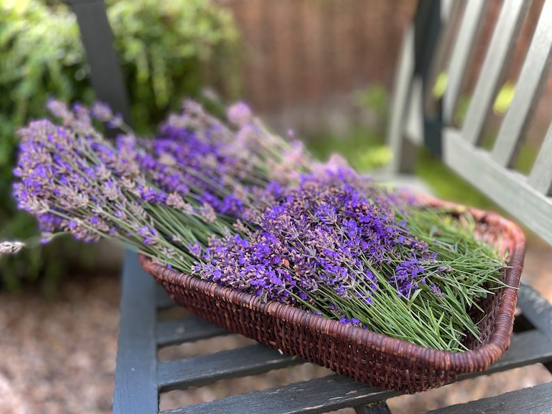 Bio Lavendelsäckchen/ Handgemacht & gefüllt mit getrockneten Lavendelknospen aus meinem Garten/ Country touch/ Vegan Bild 5