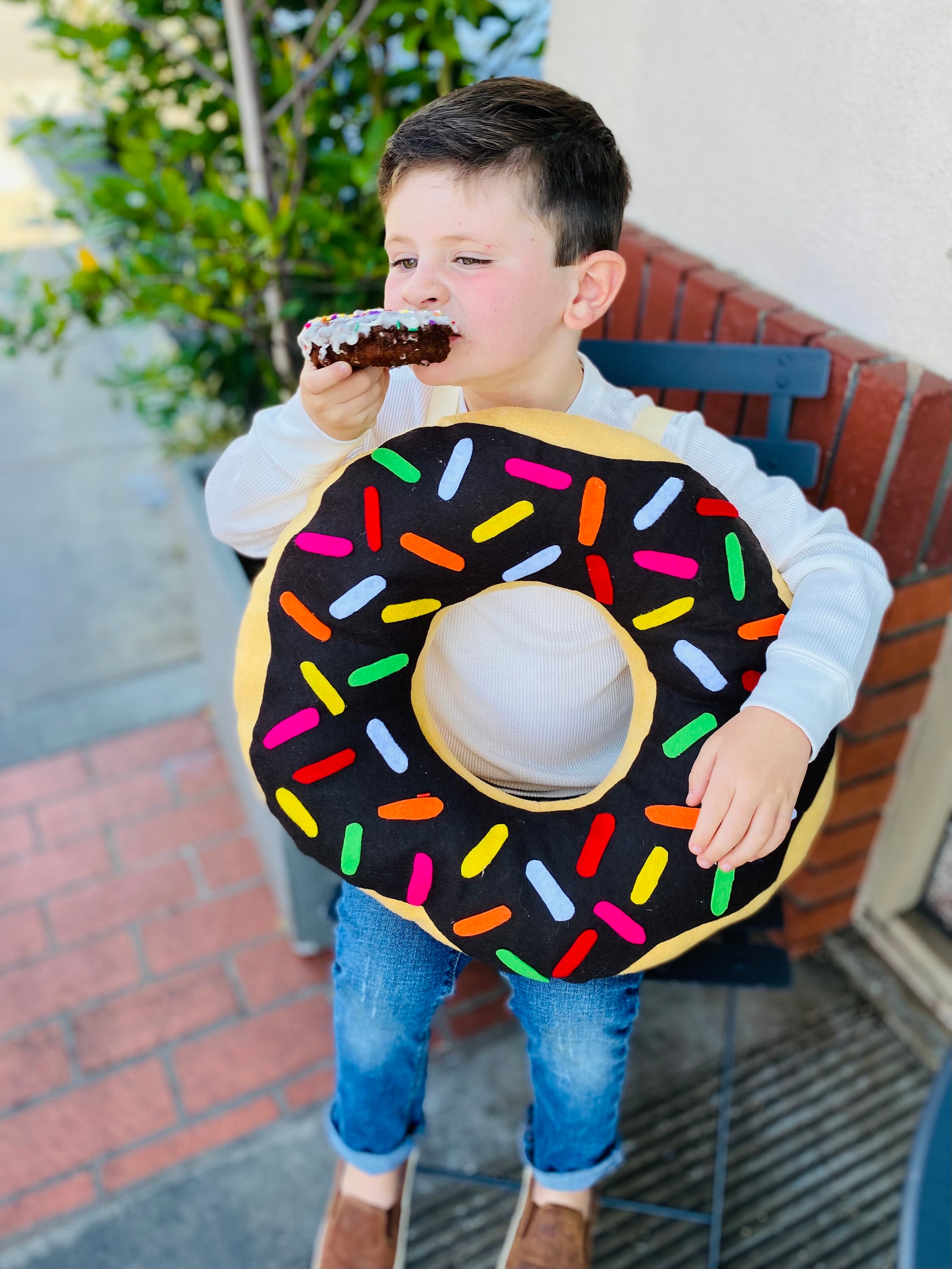 Donut costume 2024
