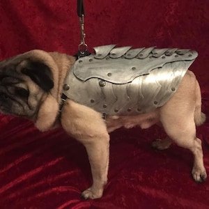dog battle armor