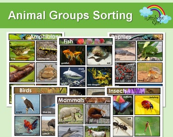 Animal Groups Sorting Activity Game / Printable Posters