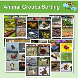 Animal Groups Sorting Activity Game / Printable Posters