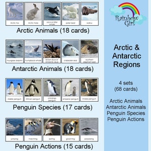 Polar Animals / Arctic Animals / Antarctic Animals / Penguins / Flash Cards / Montessori Cards / 3-Part Cards / Nomenclature Cards