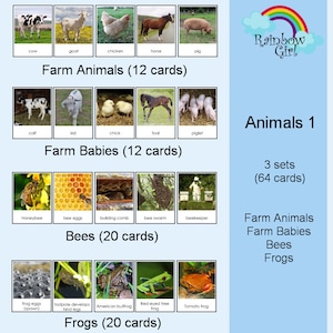 Spring Animals / Farm Animals / Bees / Frogs / Flash Cards / Montessori Cards / Nomenclature Cards / 3-Part Cards