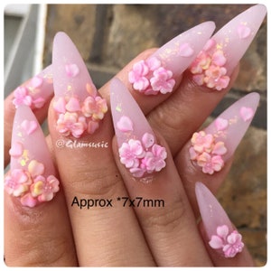Könnte beinhalten: Rosa und weiße Stiletto-Nägel mit 3D-Blumenverzierungen in Rosa. Die Blumen sind etwa 7 mm x 7 mm groß.