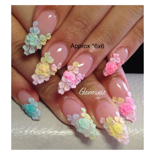 Ombre roses and petals