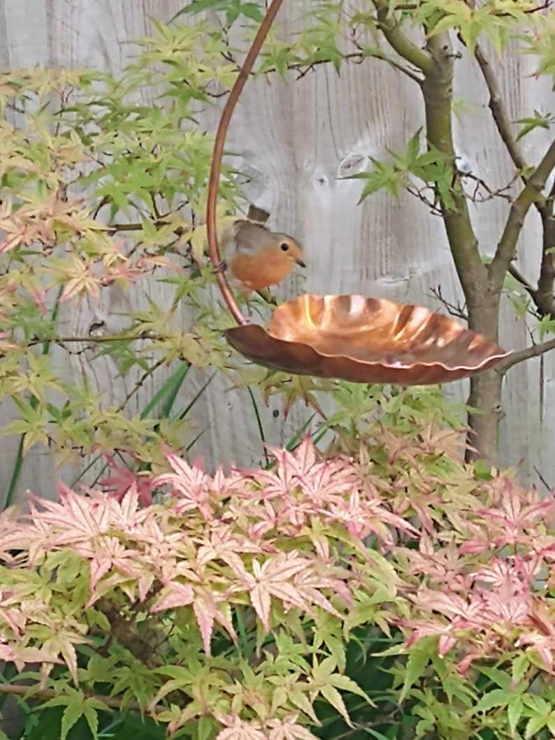 Copper hanging bird feeder image 1