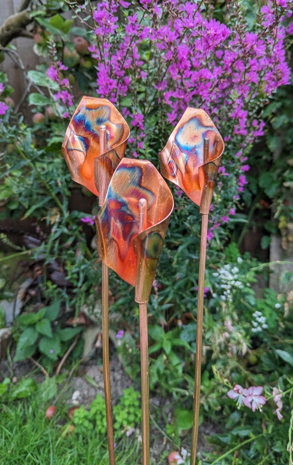Color me calla lily purple ring deals