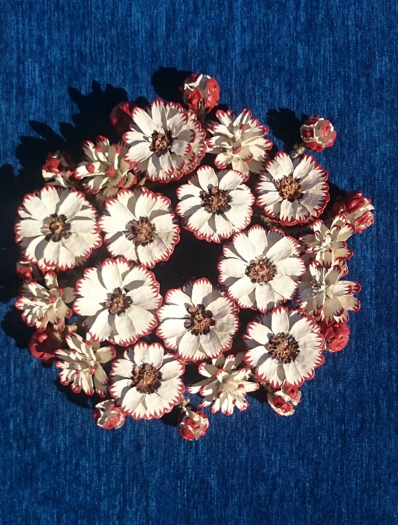 21 Winter Wreath Ideas Beyond Christmas 9 Brush painted natural pine cones wreath in cream and terracotta color