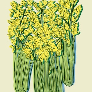 Puede incluir: Un manojo de apio con tallos verdes y hojas verde amarillentas.