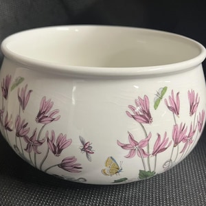 Portmeirion Botanic Garden und viele andere verschiedene Designs