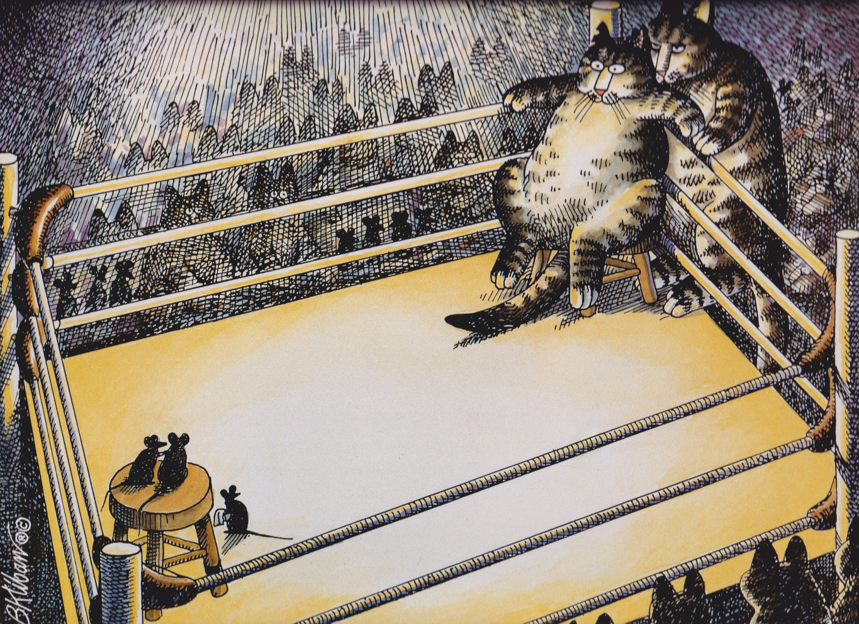 Kliban Boxer Cat in Ring Vintage Original Print Silly Cat Large 98 D - Etsy