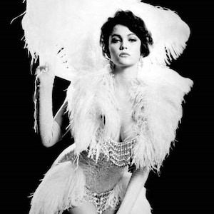 Diane Lane sizzles in showgirl outfit Photograph or Poster various sizes