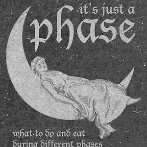 Es ist nur eine Phase: Menstruation Zine, Period Zine