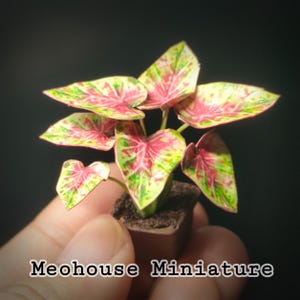 Puppenhaus Miniaturen HANDMADE Papier Blätter Pflanzen Dekoration Garten 1 Stk von Meohouse